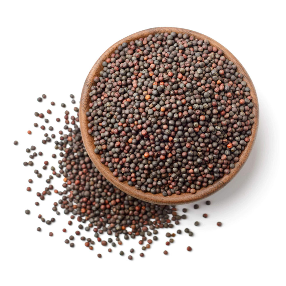 Mustard Seeds